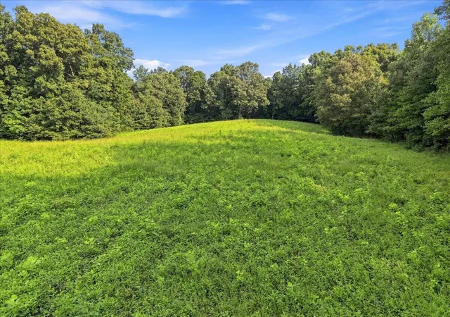 Photo 4 of Land for sale at 20 Acres Bill Thompson Rd, Kuttawa, KY 42055 | MLS# 26022656 | Listing updated on 2026-08-20
