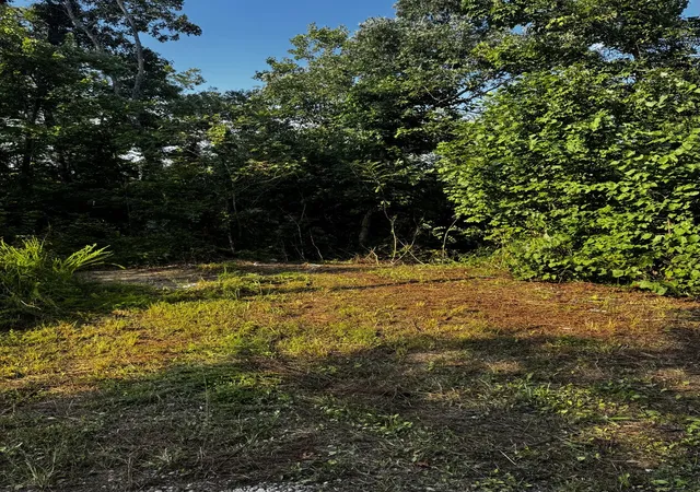Photo 4 of Single family home for sale at 151 Walter Crabtree Rd, Pine Knot, KY 42635 | MLS# 26021948 | Listing updated on 2026-08-19