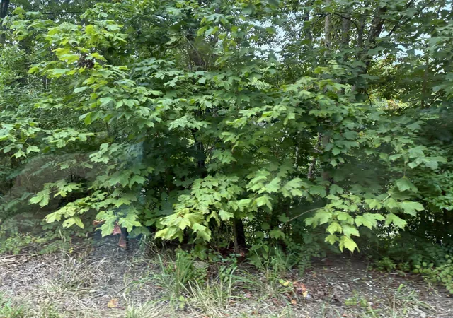 Photo 3 of House for sale at 3198 Red House Rd, Richmond, KY 40475 | MLS# 26021892 | Listing updated on 2026-09-16