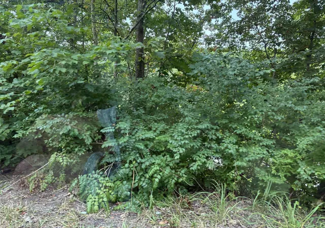 Photo 4 of House for sale at 3198 Red House Rd, Richmond, KY 40475 | MLS# 26021892 | Listing updated on 2026-09-16