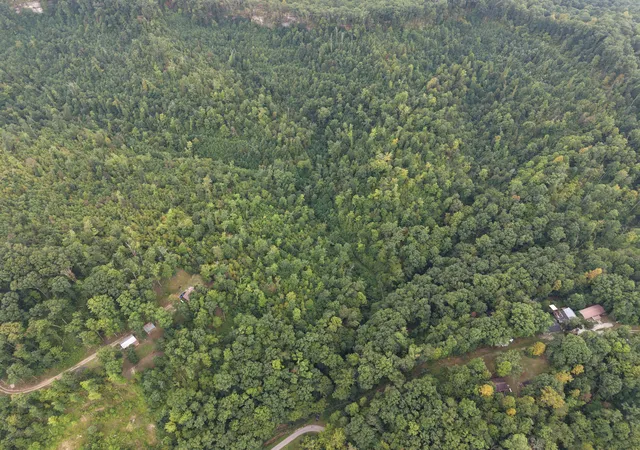 Photo 1 of Land for sale at 2000 3781 Skidmore Rd, Frenchburg, KY 40322 | MLS# 26022025 | Listing updated on 2026-08-14