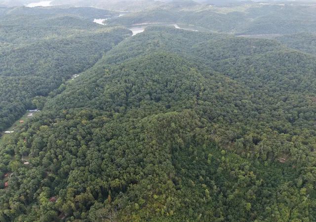 Photo 4 of Land for sale at 2000 3781 Skidmore Rd, Frenchburg, KY 40322 | MLS# 26022025 | Listing updated on 2026-08-14