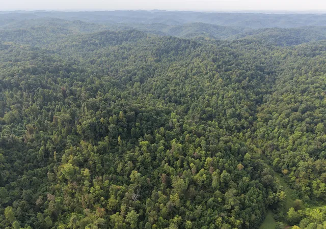 Photo 10 of Land for sale at 707 Shotgun Holw Rd, Frenchburg, KY 40322 | MLS# 26022028 | Listing updated on 2026-08-14