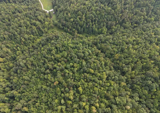 Photo 1 of Land for sale at 707 Shotgun Holw Rd, Frenchburg, KY 40322 | MLS# 26022028 | Listing updated on 2026-08-14