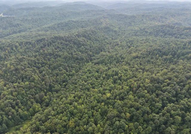 Photo 2 of Land for sale at 707 Shotgun Holw Rd, Frenchburg, KY 40322 | MLS# 26022028 | Listing updated on 2026-08-14