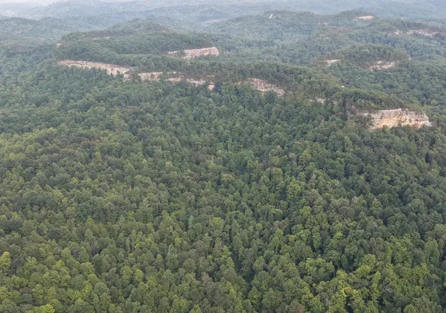 Photo 2 of Land for sale at 707 Shotgun Holw Rd, Frenchburg, KY 40322 | MLS# 26022028 | Listing updated on 2026-08-14