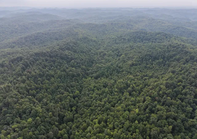 Photo 3 of Land for sale at 707 Shotgun Holw Rd, Frenchburg, KY 40322 | MLS# 26022028 | Listing updated on 2026-08-14