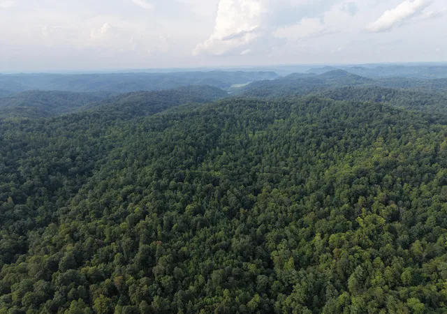 Photo 4 of Land for sale at 707 Shotgun Holw Rd, Frenchburg, KY 40322 | MLS# 26022028 | Listing updated on 2026-08-14