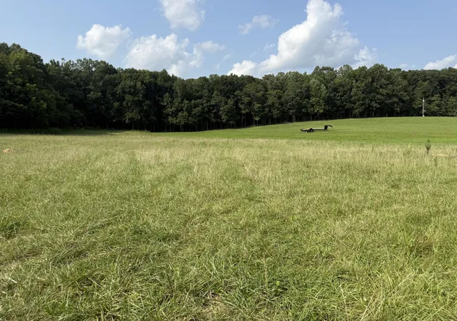Land for sale at Lot 5 Tract 1 French Valley Ct, Russell Springs, KY 42642 | MLS# 26022046