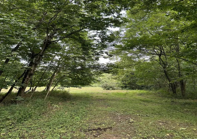 Photo 4 of House for sale at 527 S Dividing Ridge Rd, Sadieville, KY 40370 | MLS# 26022113 | Listing updated on 2026-09-09