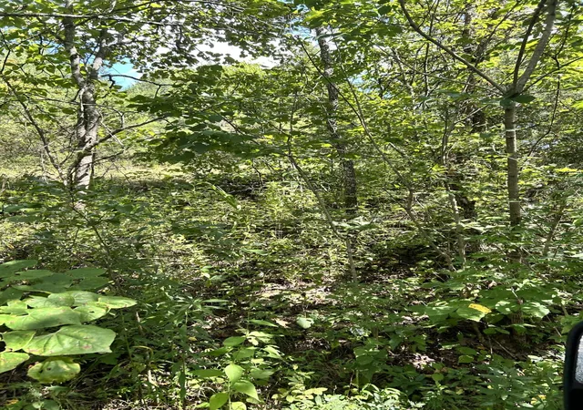 Photo 92 of Land for sale at 726 Old Brown Rd, Salvisa, KY 40372 | MLS# 26022267 | Listing updated on 2026-09-02