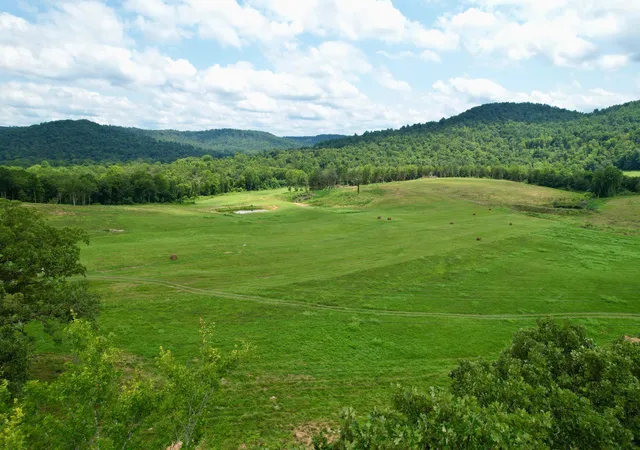 Photo 3 of Land for sale at 1330 Ky 790, Monticello, KY 42633 | MLS# 26022217 | Listing updated on 2026-08-16