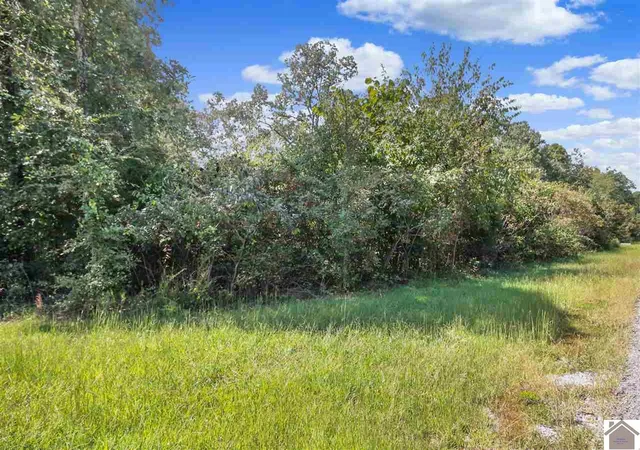 Photo 3 of Land for sale at Lot #90 Pelican Ln, Murray, KY 42071 | MLS# 26022721 | Listing updated on 2026-08-20