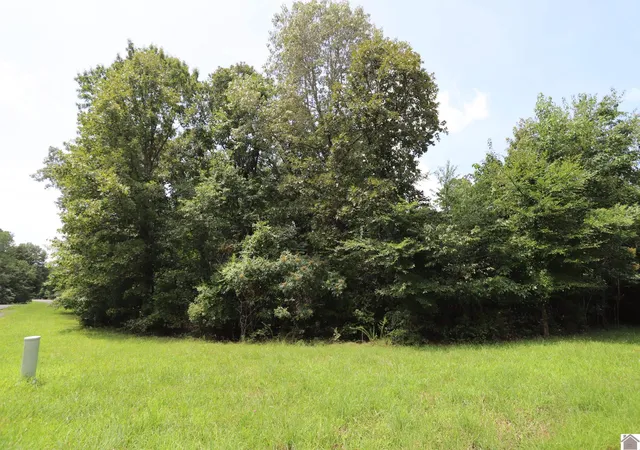 Photo 4 of Land for sale at Lot #90 Pelican Ln, Murray, KY 42071 | MLS# 26022721 | Listing updated on 2026-08-20