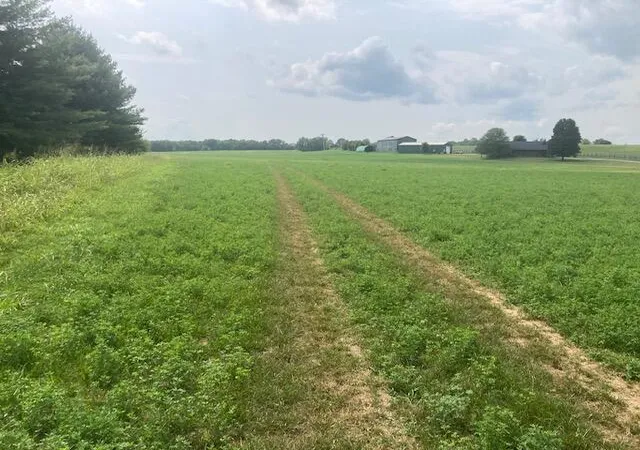 Photo 1 of Land for sale at 333 Silas Rd, Cynthiana, KY 41031 | MLS# 26022240 | Listing updated on 2026-08-16