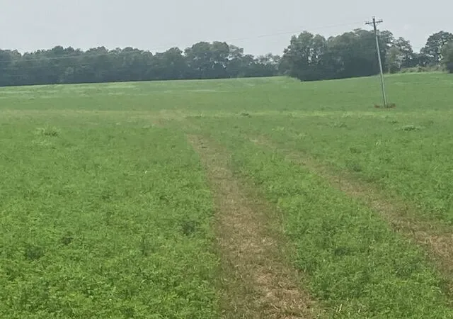 Photo 2 of Land for sale at 333 Silas Rd, Cynthiana, KY 41031 | MLS# 26022240 | Listing updated on 2026-08-16