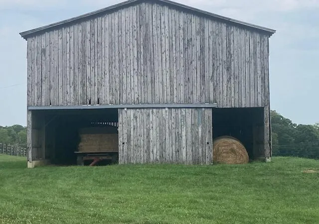 Photo 4 of House for sale at 333 Silas Rd, Cynthiana, KY 41031 | MLS# 26022240 | Listing updated on 2026-10-13