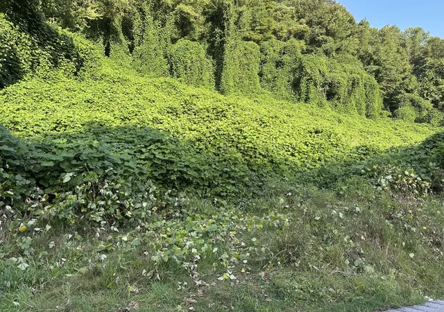 Photo 2 of Land for sale at 4926 2 Ky 1524, Manchester, KY 40962 | MLS# 26022255 | Listing updated on 2026-08-17