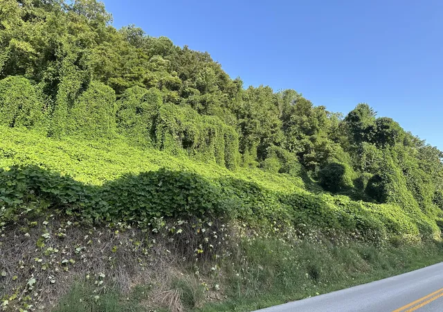 Photo 3 of Land for sale at 4926 2 Ky 1524, Manchester, KY 40962 | MLS# 26022255 | Listing updated on 2026-08-17