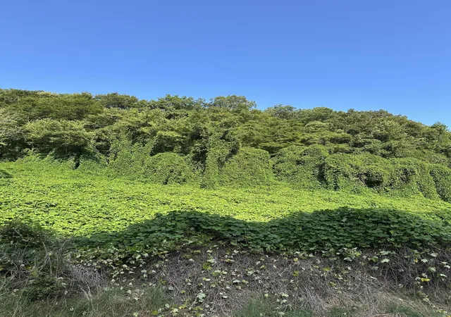 Photo 3 of Land for sale at 4926-2 Ky 1524, Manchester, KY 40962 | MLS# 26022255 | Listing updated on 2026-08-17