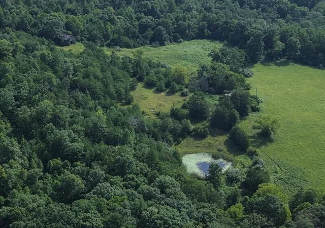 Photo 2 of Land for sale at 9999 Sinks Rd, Somerset, KY 42501 | MLS# 26022437 | Listing updated on 2026-10-09
