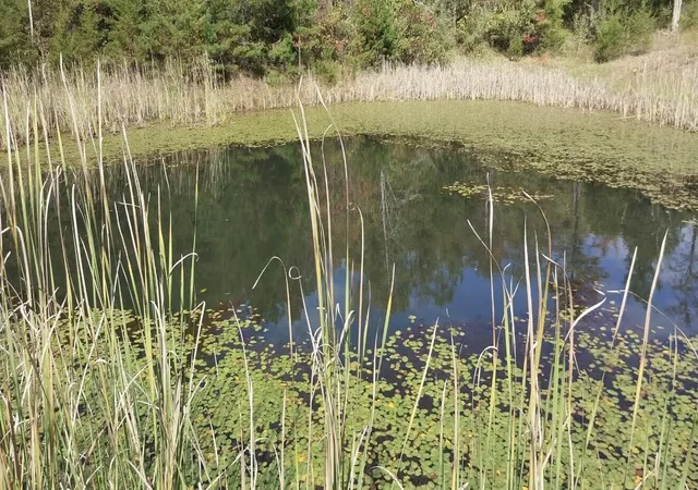 Photo 4 of Land for sale at 9999 Sinks Rd, Somerset, KY 42501 | MLS# 26022437 | Listing updated on 2026-10-09