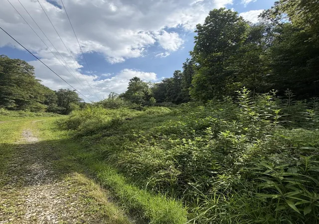 Photo 3 of Land for sale at 0 Daniels Crk, Banner, KY 41603 | MLS# 26022316 | Listing updated on 2026-08-21