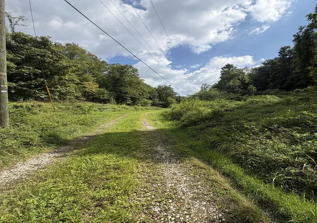 Photo 4 of Land for sale at 0 Daniels Crk, Banner, KY 41603 | MLS# 26022316 | Listing updated on 2026-08-21