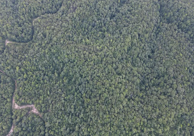 Photo 3 of Land for sale at 3550 River Rd, Williamsburg, KY 40769 | MLS# 26022328 | Listing updated on 2026-08-17
