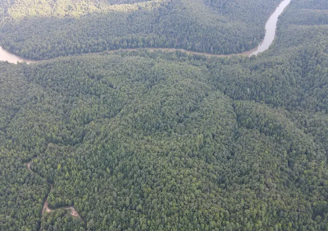 Photo 3 of Land for sale at 3550 River Rd, Williamsburg, KY 40769 | MLS# 26022328 | Listing updated on 2026-08-17