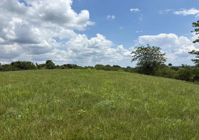 Photo 3 of Land for sale at 721 Bald Hl Rd, Carlisle, KY 40311 | MLS# 26022346 | Listing updated on 2026-08-17
