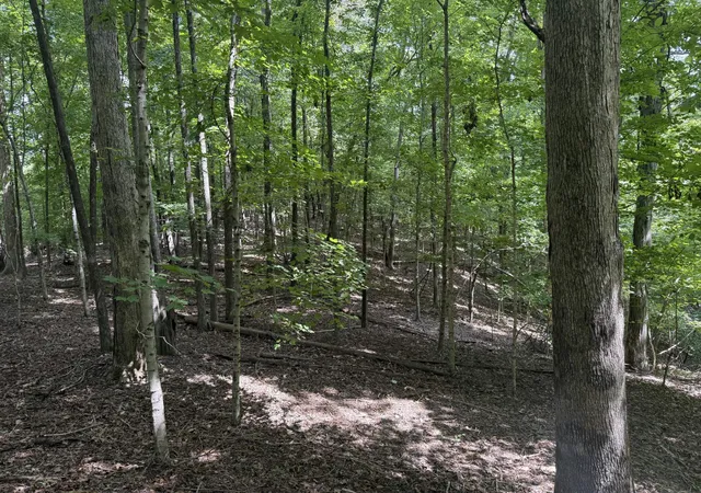 Photo 1 of Land for sale at 0 Perry Springs Rd, Eddyville, KY 42038 | MLS# 26022405 | Listing updated on 2026-08-18