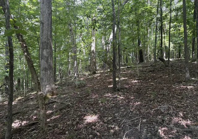 Photo 2 of Land for sale at 0 Perry Springs Rd, Eddyville, KY 42038 | MLS# 26022405 | Listing updated on 2026-08-18