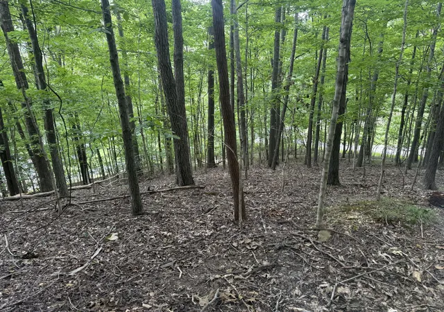 Photo 42 of Land for sale at 0 Perry Springs Rd, Eddyville, KY 42038 | MLS# 26022405 | Listing updated on 2026-08-18