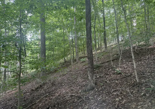 Photo 4 of Land for sale at 0 Perry Springs Rd, Eddyville, KY 42038 | MLS# 26022405 | Listing updated on 2026-08-18