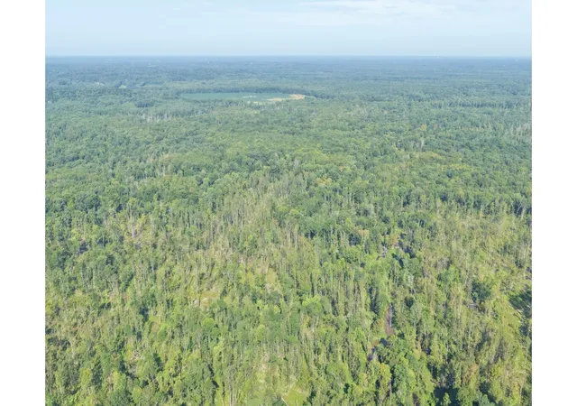 Photo 1 of Land for sale at 00 Milliken Ml Ln, Benton, KY 42025 | MLS# 26022392 | Listing updated on 2026-08-18