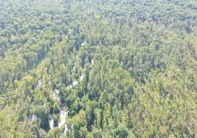 Photo 2 of Land for sale at 00 Milliken Ml Ln, Benton, KY 42025 | MLS# 26022392 | Listing updated on 2026-08-18