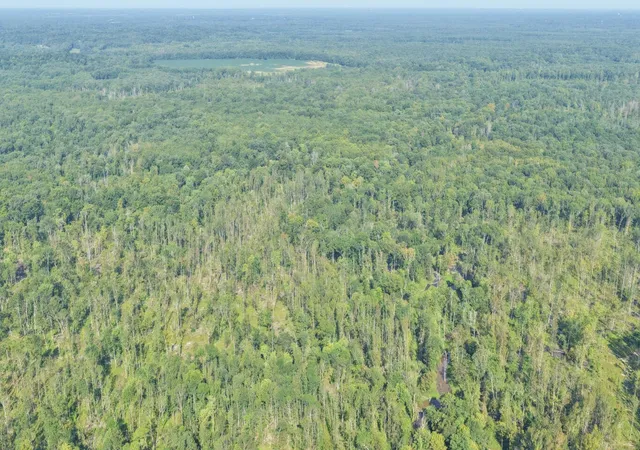 Photo 3 of Land for sale at 00 Milliken Ml Ln, Benton, KY 42025 | MLS# 26022392 | Listing updated on 2026-08-18