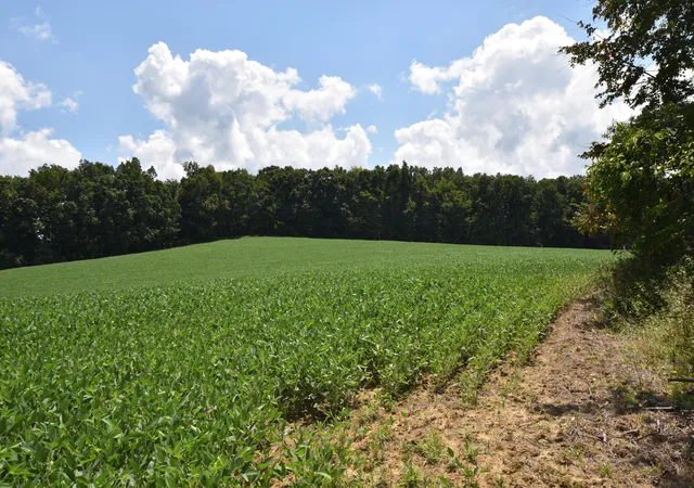 Photo 1 of Land for sale at 0 Beechy Crk Rd #0, Wallingford, KY 41093 | MLS# 26022441 | Listing updated on 2026-08-18