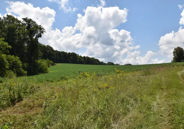 Photo 2 of Land for sale at 0 Beechy Crk Rd #0, Wallingford, KY 41093 | MLS# 26022441 | Listing updated on 2026-08-18