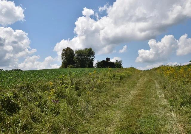 Photo 3 of Land for sale at 0 Beechy Crk Rd #0, Wallingford, KY 41093 | MLS# 26022441 | Listing updated on 2026-08-18