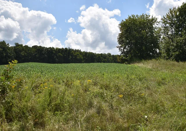 Photo 4 of House for sale at 0 Beechy Crk Rd #0, Wallingford, KY 41093 | MLS# 26022441 | Listing updated on 2026-08-18