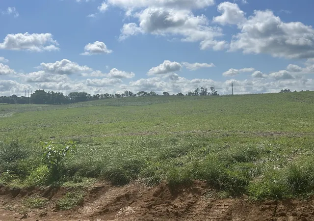 Photo 3 of Single family home for sale at 482 Robinson Rd, Cynthiana, KY 41031 | MLS# 26022438 | Listing updated on 2026-09-15