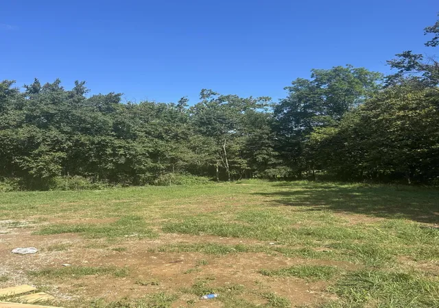 Photo 4 of Single family home for sale at 482 Robinson Rd, Cynthiana, KY 41031 | MLS# 26022438 | Listing updated on 2026-09-15