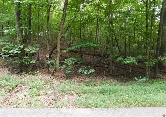 Photo 9 of Land for sale at Lots 81,82,83 Champion Hills Rd, Kuttawa, KY 42055 | MLS# 26022489 | Listing updated on 2026-08-19