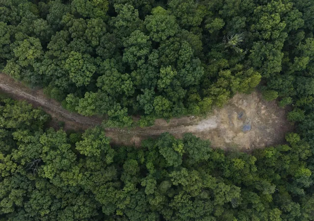 Photo 2 of Land for sale at 240 Nelson Rd, Clay City, KY 40312 | MLS# 26022536 | Listing updated on 2026-08-19