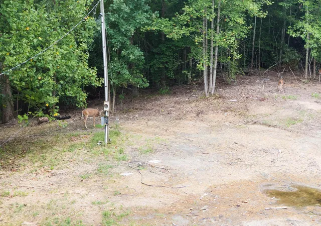 Photo 3 of Land for sale at 240 Nelson Rd, Clay City, KY 40312 | MLS# 26022536 | Listing updated on 2026-08-19