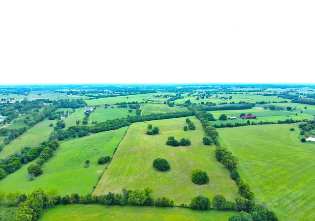 Photo 4 of Sale Pending at 546-b Cane Ridge Rd, Paris, KY 40361 | MLS# 26022707 | Listing updated on 2026-09-20