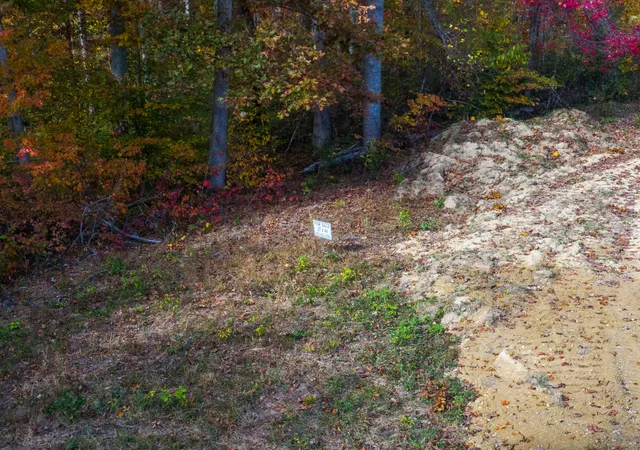 Photo 3 of Land for sale at Lot 44 Spring Branch Holw Rd, Nancy, KY 42544 | MLS# 26022580 | Listing updated on 2026-08-19