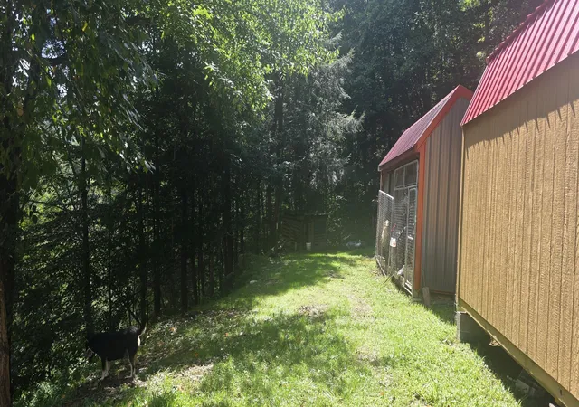 Photo 4 of Single family home for sale at 62 Harley Dr, Stinnett, KY 40868 | MLS# 26023004 | Listing updated on 2026-09-11